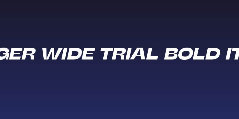 Stinger Wide Trial Bold Italic Social Header