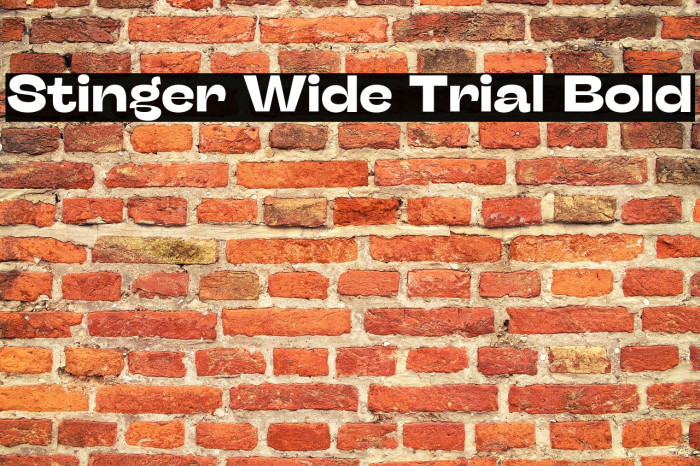 Stinger Wide Trial Bold Example 2