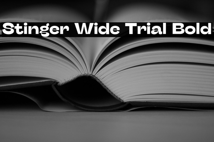 Stinger Wide Trial Bold Example 3