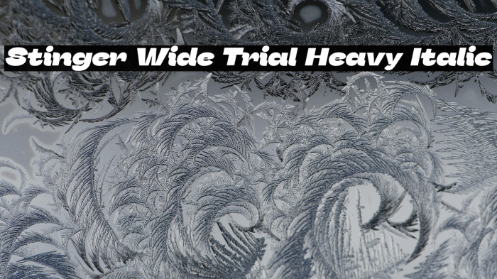 Stinger Wide Trial Heavy Italic Example 2