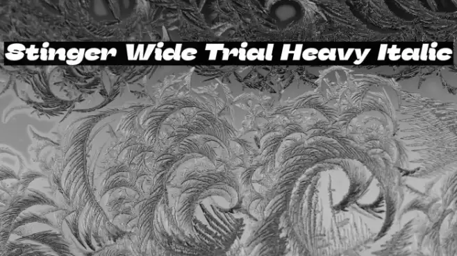 Stinger Wide Trial Heavy Italic Font examples