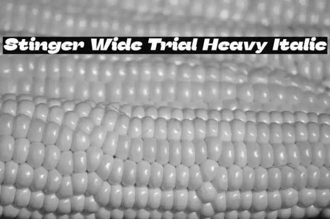 Stinger Wide Trial Heavy Italic Font examples
