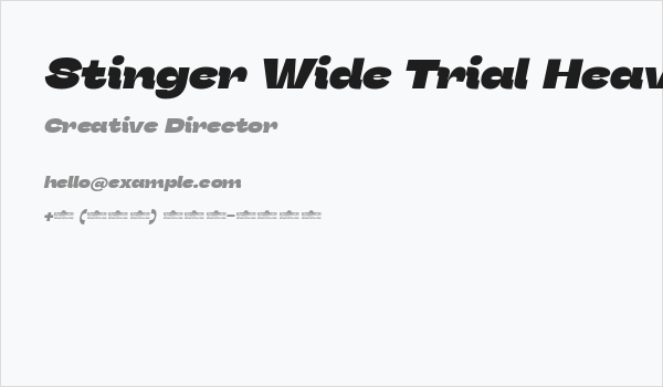 Stinger Wide Trial Heavy Italic Business Card