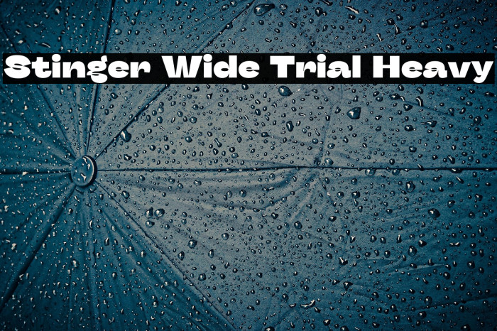 Stinger Wide Trial Heavy Example 1