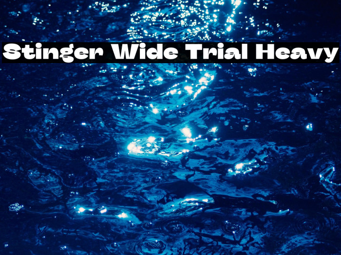 Stinger Wide Trial Heavy Example 2