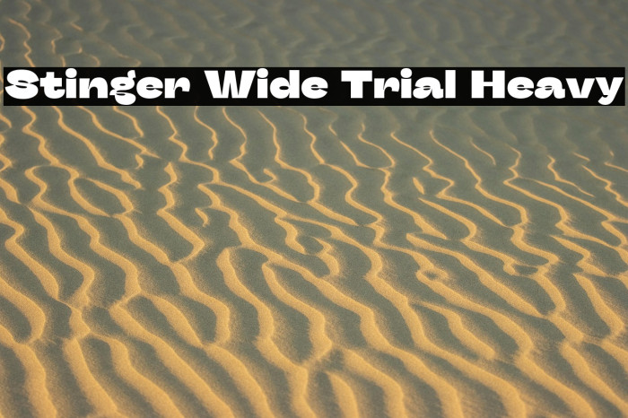 Stinger Wide Trial Heavy Example 3