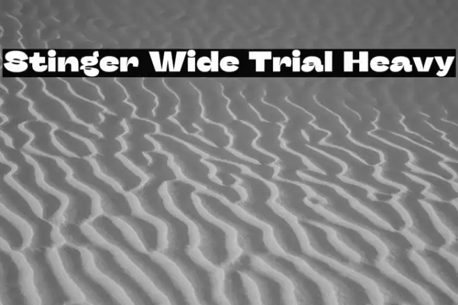 Stinger Wide Trial Heavy Font examples