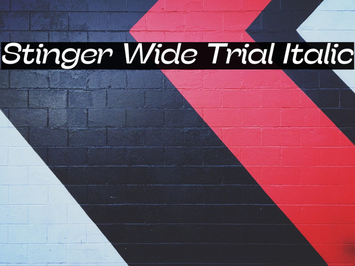 Stinger Wide Trial Italic Example 1