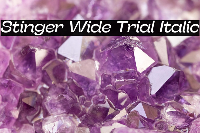 Stinger Wide Trial Italic Example 3
