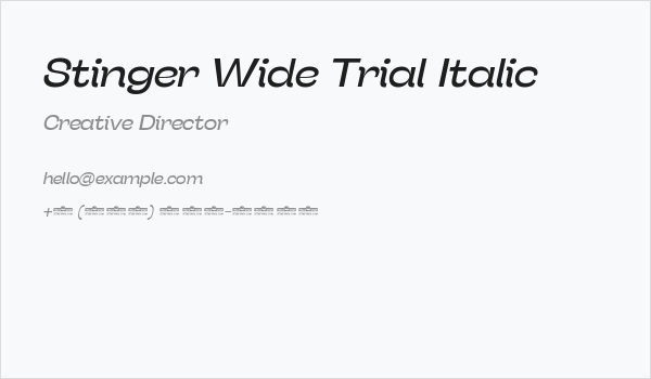 Stinger Wide Trial Italic Business Card