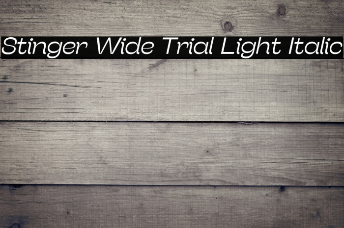 Stinger Wide Trial Light Italic Example 1
