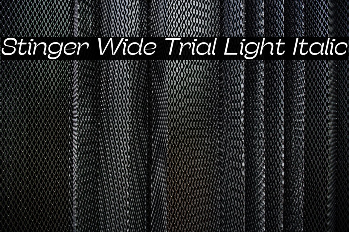 Stinger Wide Trial Light Italic Example 2