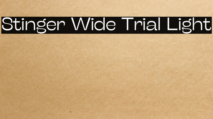 Stinger Wide Trial Light Example 1