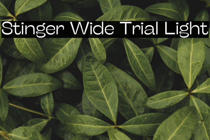 Stinger Wide Trial Light Example 2