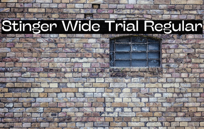 Stinger Wide Trial Regular Example 1