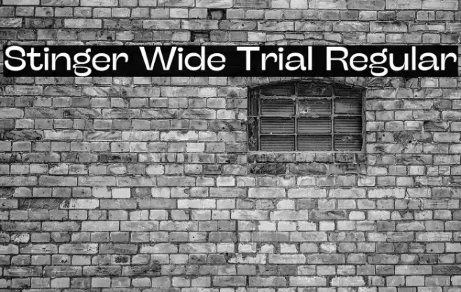 Stinger Wide Trial Regular Font examples