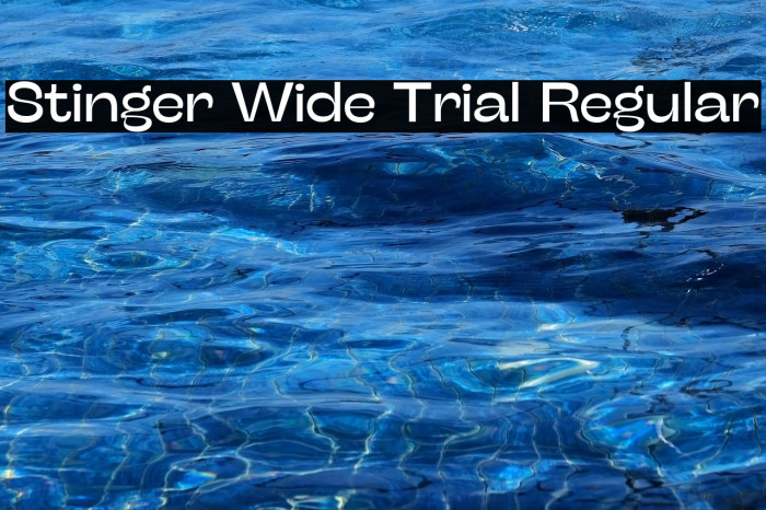 Stinger Wide Trial Regular Example 2