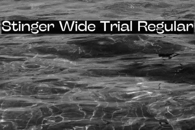 Stinger Wide Trial Regular Font examples