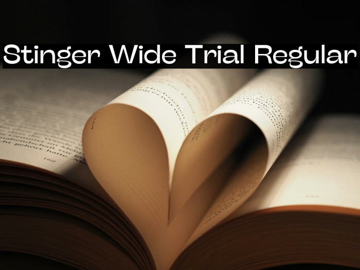 Stinger Wide Trial Regular Example 3