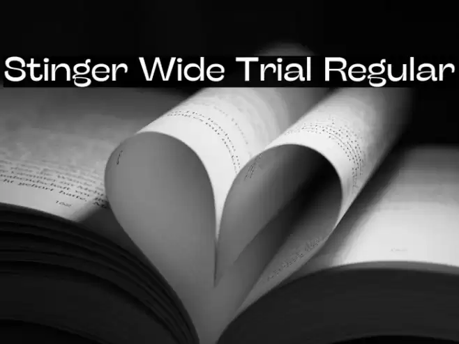 Stinger Wide Trial Regular Font examples