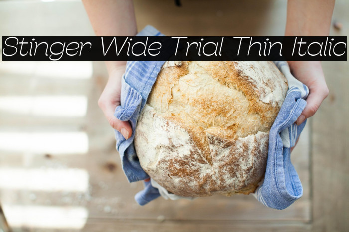 Stinger Wide Trial Thin Italic Example 3