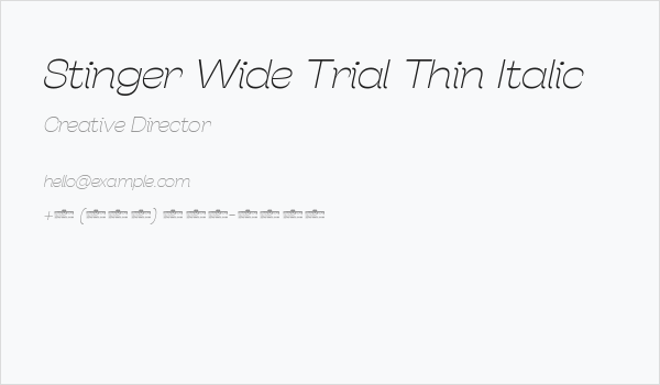 Stinger Wide Trial Thin Italic Business Card