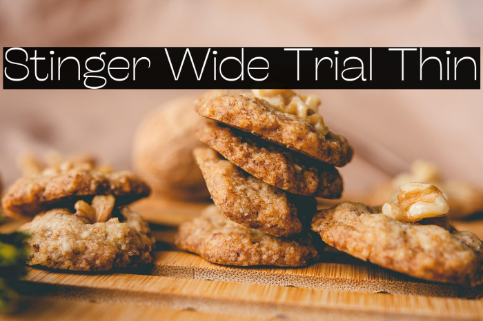 Stinger Wide Trial Thin Example 1