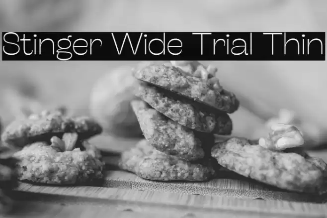 Stinger Wide Trial Thin Font examples