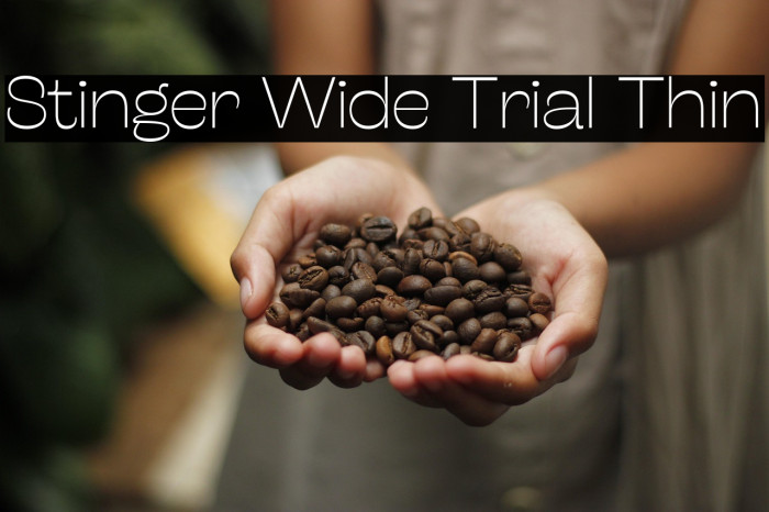 Stinger Wide Trial Thin Example 3