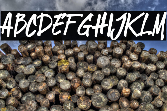 StingkerJackRegular Example 2