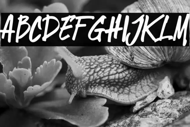 StingkerJackRegular Font examples