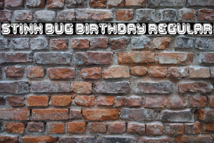 Stink Bug Birthday Regular Example 1