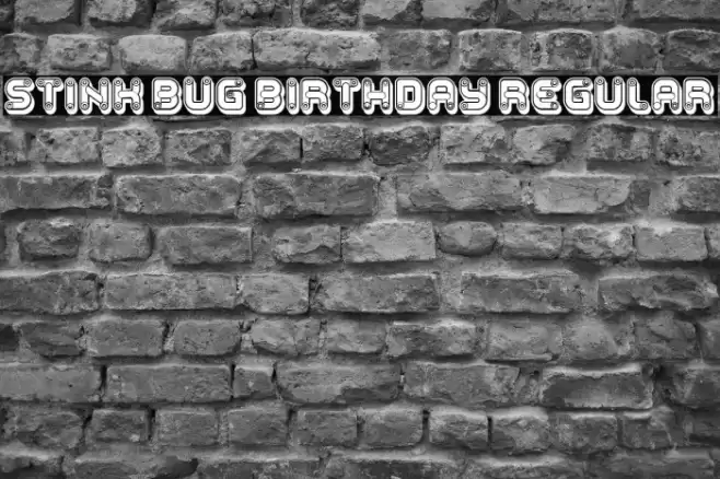 Stink Bug Birthday Regular Font examples