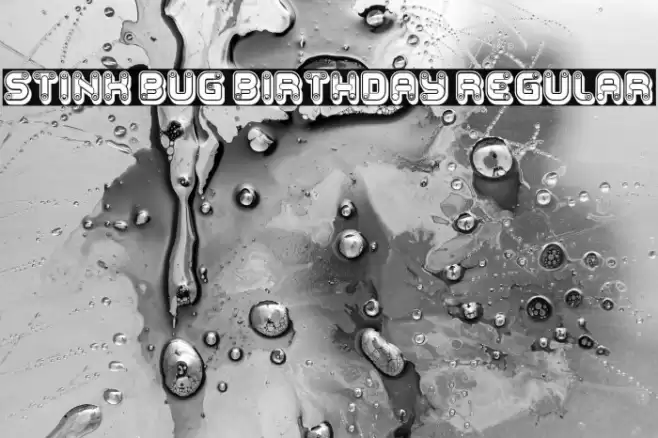 Stink Bug Birthday Regular Font examples