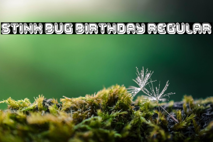 Stink Bug Birthday Regular Example 3