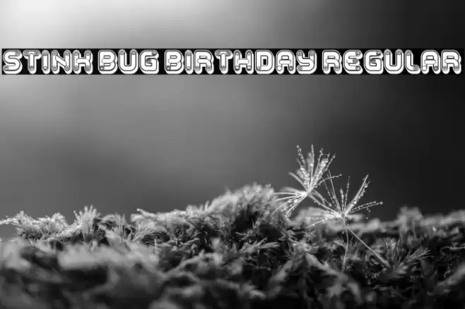 Stink Bug Birthday Regular Font examples