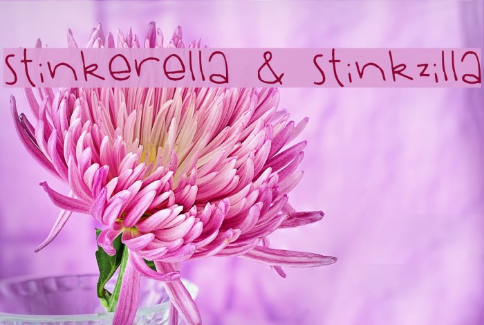 Stinkerella & Stinkzilla Font examples