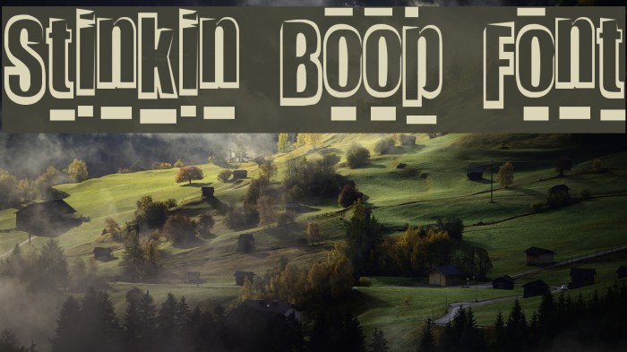Stinkin Boop Font Font examples