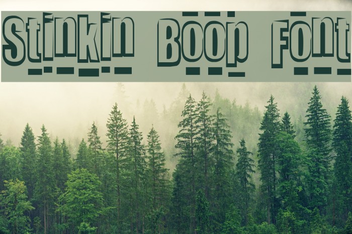 Stinkin Boop Font Font examples