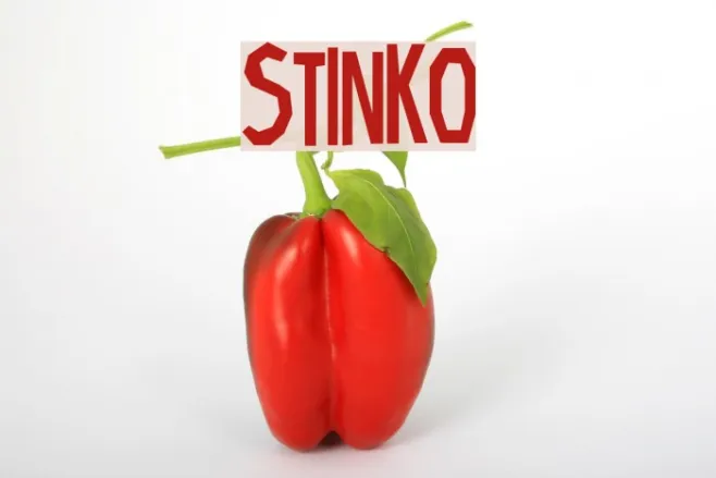 Stinko Example 1