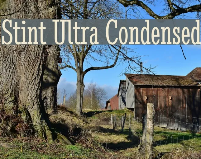 Stint Ultra Condensed Example 1