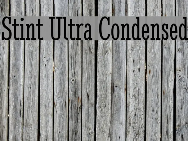 Stint Ultra Condensed Example 2