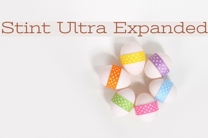 Stint Ultra Expanded Font examples