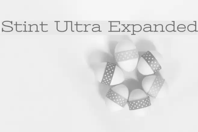Stint Ultra Expanded Font examples