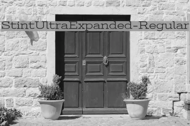 StintUltraExpanded-Regular Шрифта examples