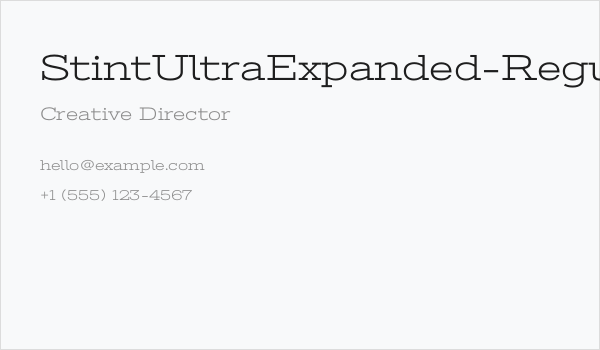 StintUltraExpanded-Regular Business Card