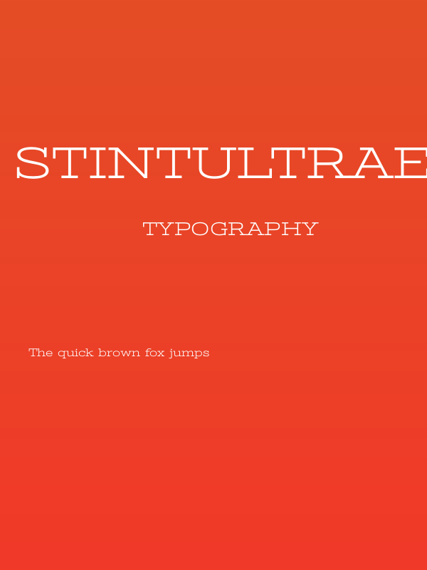 StintUltraExpanded-Regular Poster