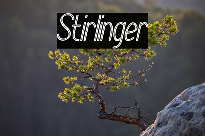 Stirlinger Example 2