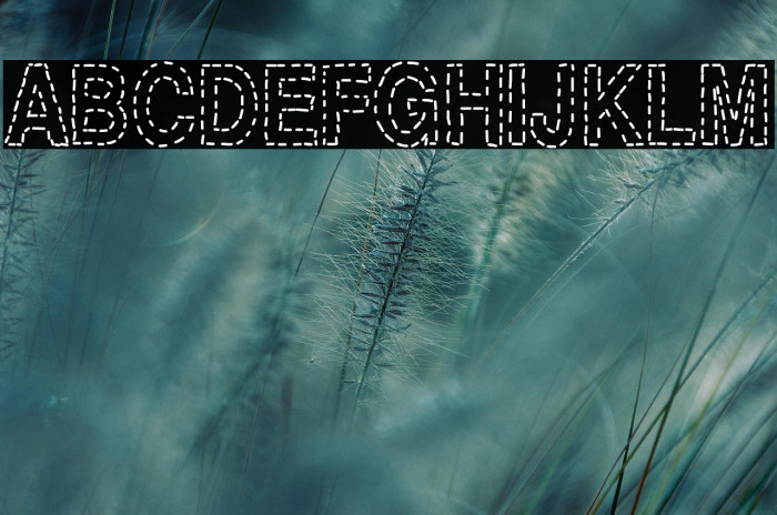 Stitchen-Regular Example 2