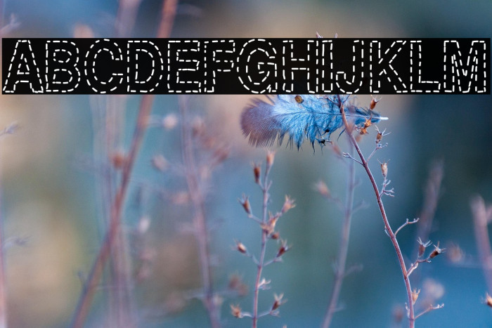 Stitchen-Regular Example 3